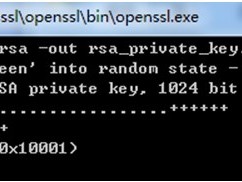 RSA密钥的生成与配置(支付宝公私密钥可用)